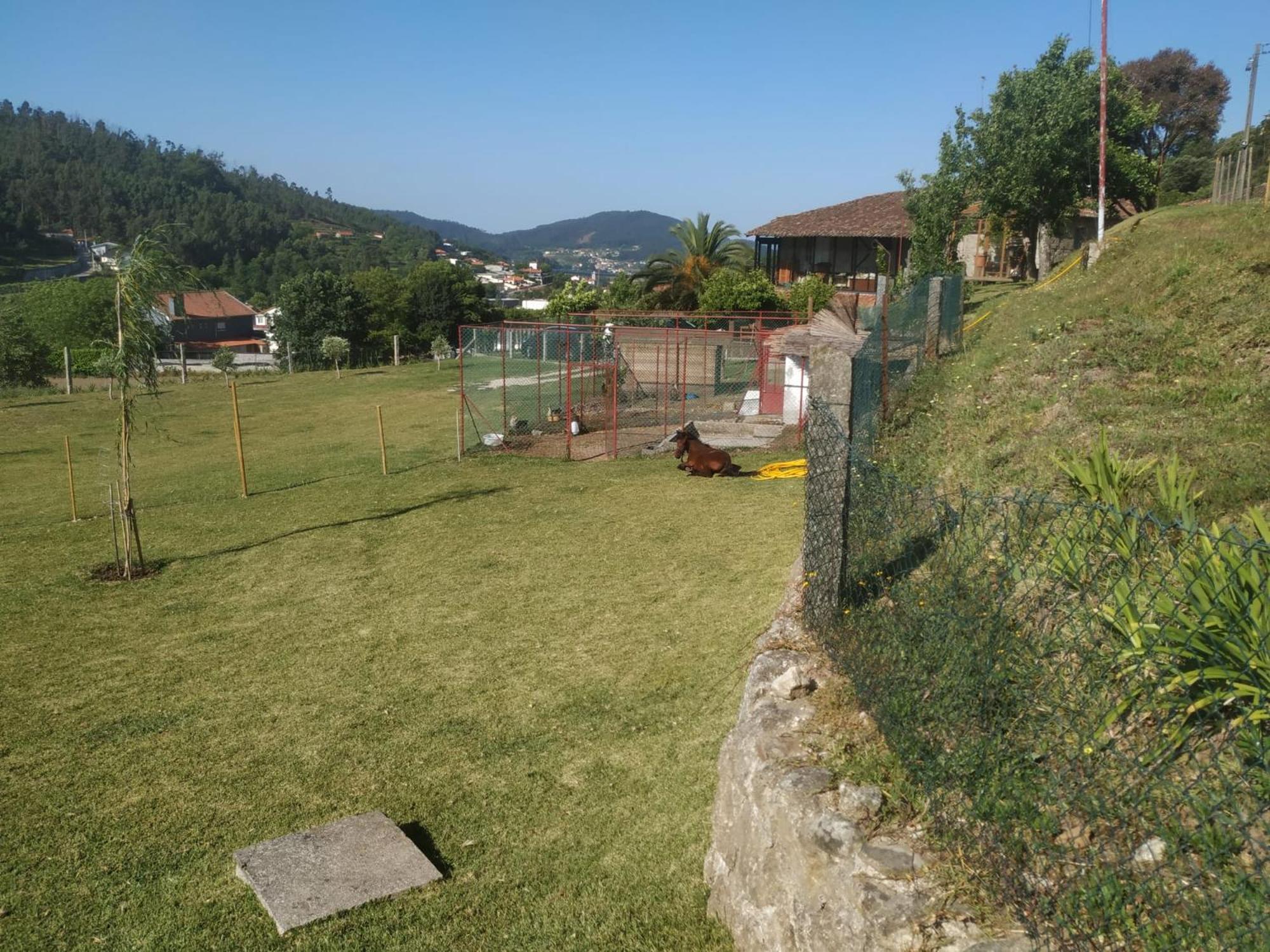 Quinta Dos Campos - Apartamento 2 Braga Bagian luar foto